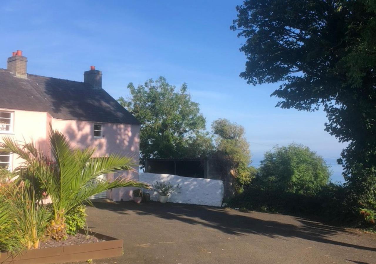 The Pink Cottage Upstairs Suite & Garden Summer Room Whitehead Zewnętrze zdjęcie