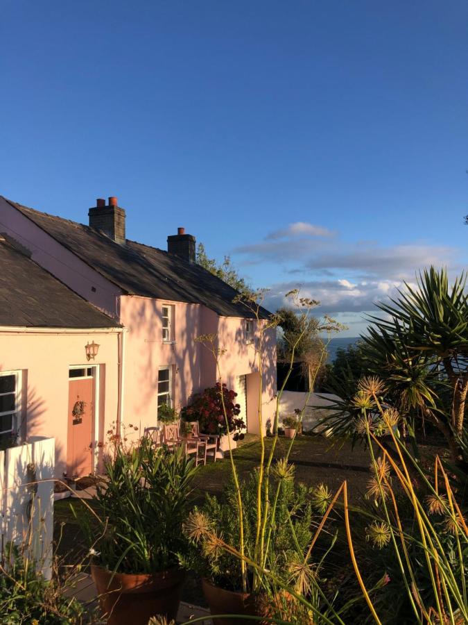 The Pink Cottage Upstairs Suite & Garden Summer Room Whitehead Zewnętrze zdjęcie