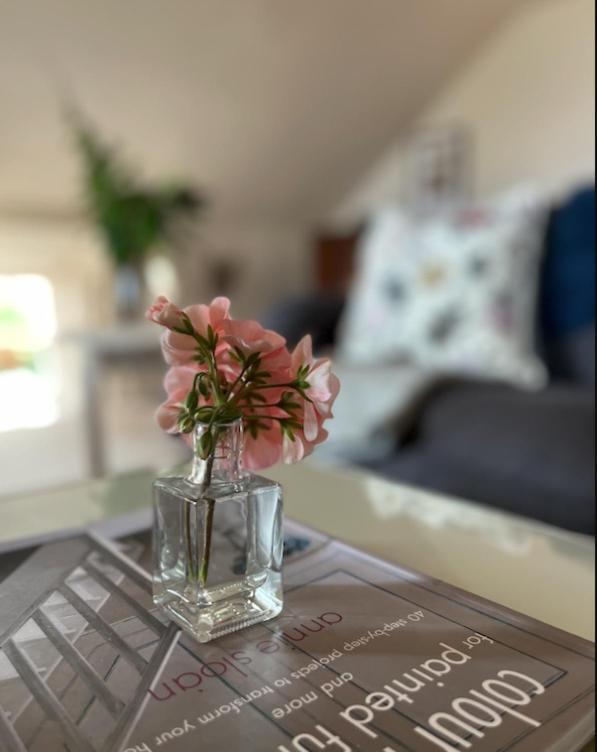The Pink Cottage Upstairs Suite & Garden Summer Room Whitehead Zewnętrze zdjęcie