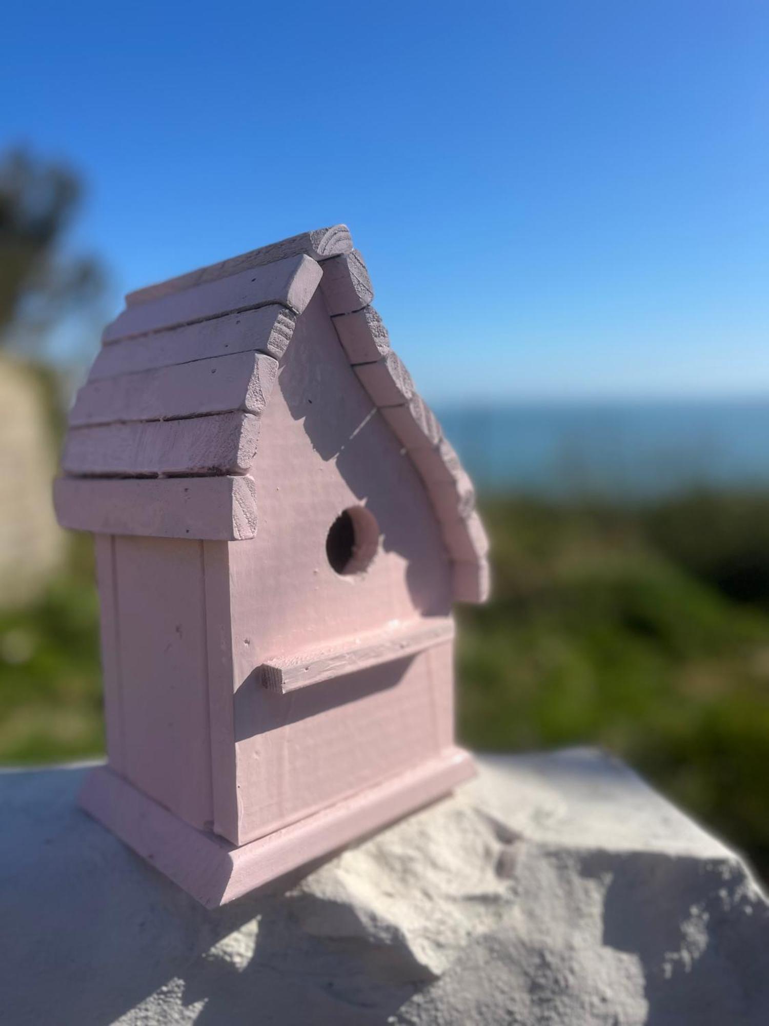 The Pink Cottage Upstairs Suite & Garden Summer Room Whitehead Zewnętrze zdjęcie
